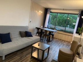 Grand studio, piscines proche plage, wifi